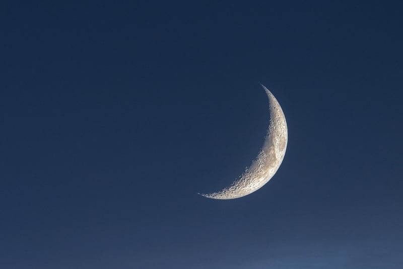 Moonlit Ceremonies